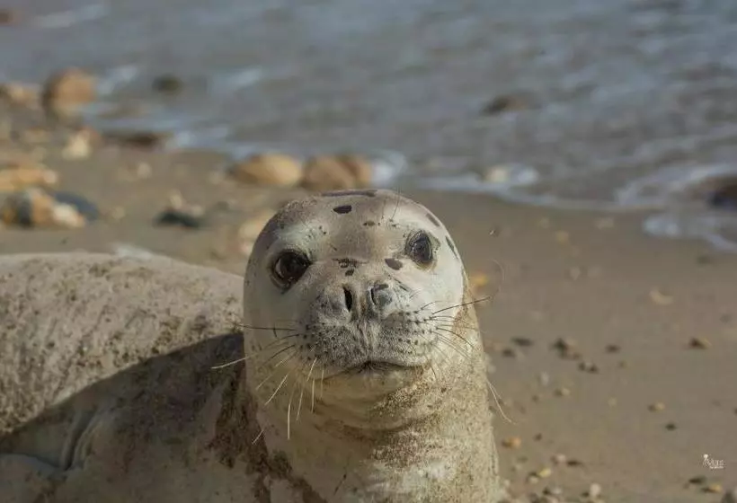 Pension Galazios Kolpos