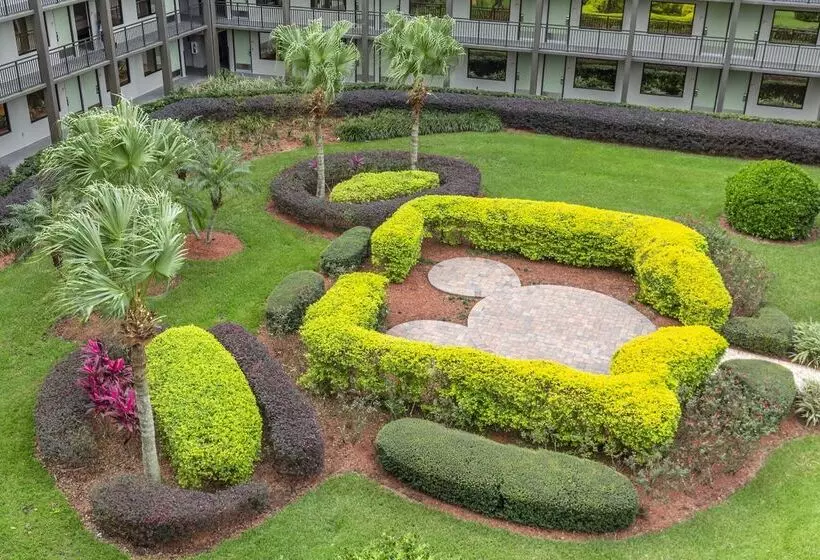 Wyndham Garden Lake Buena Vista Disney Springs® Resort Area