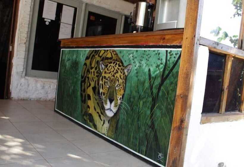 Bed and Breakfast Hostel Haus