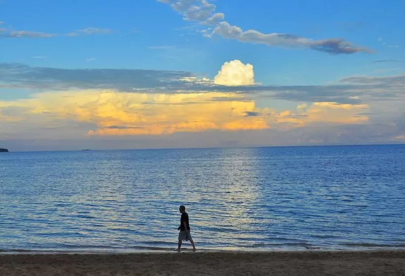 تختخواب و صبحانه Sea Daughter S Homestay