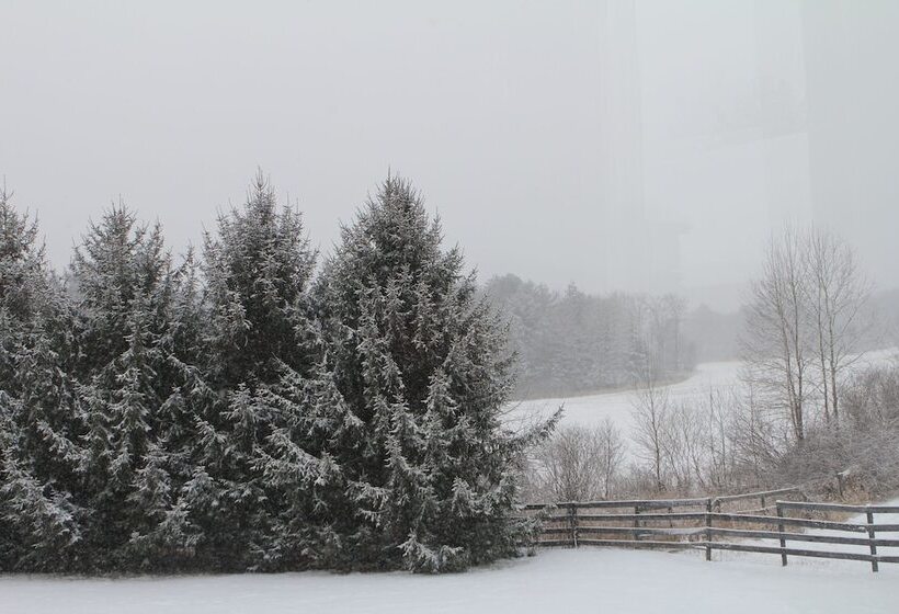 Equestrian House Log Cabin