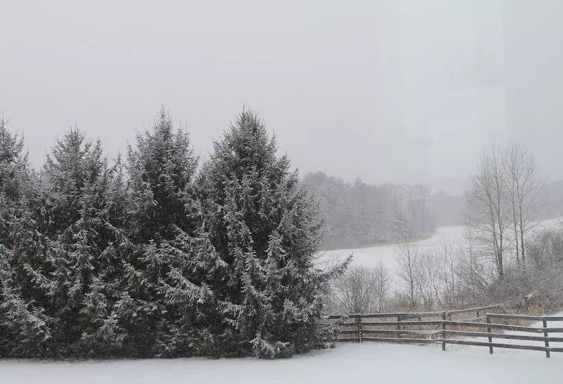 Equestrian House  Log Cabin