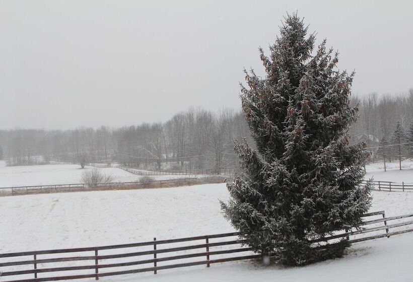 Equestrian House Log Cabin