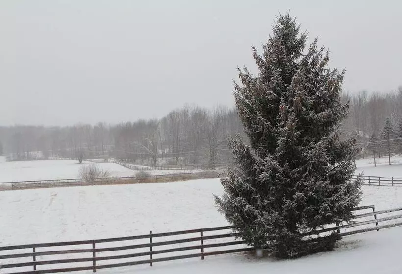 Equestrian House  Log Cabin