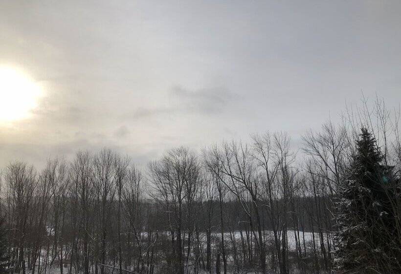 Equestrian House Log Cabin