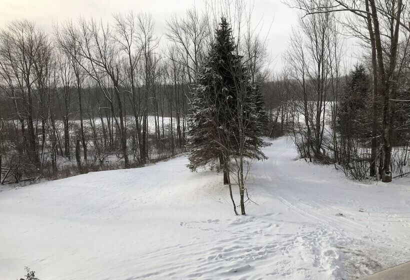 Equestrian House Log Cabin