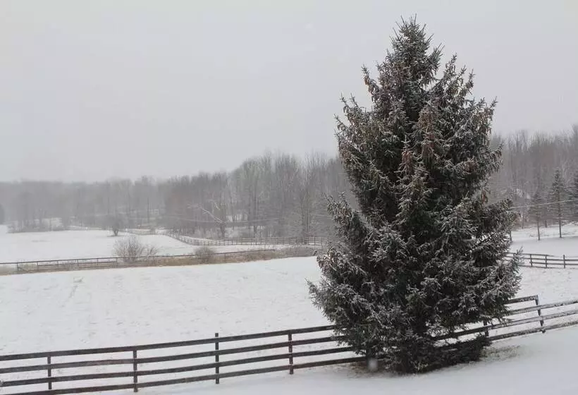 Equestrian House  Log Cabin