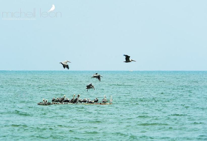 ホテル Amotape Comfort