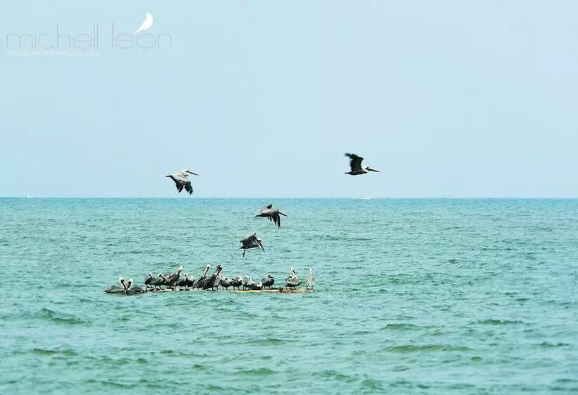 ホテル Amotape Comfort