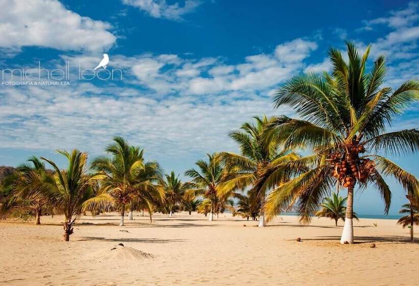 ホテル Amotape Comfort