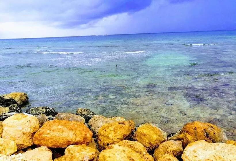 ホテル Bongo Beach Baru