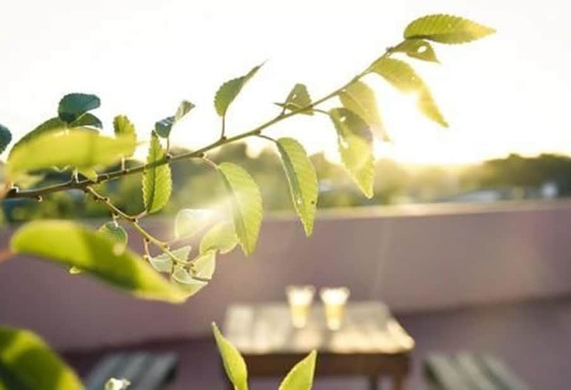 فندق Hub Tapalqué