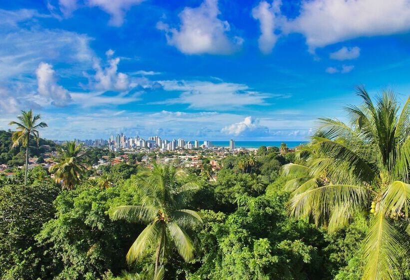 هتل Pousada Convento Da Conceição