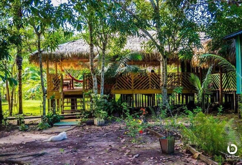 Hôtel Pousada De Selva Jacaré