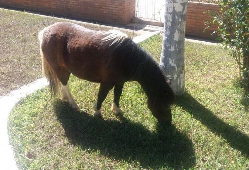 בית מלון כפרי Pousada Recanto Do Sossego