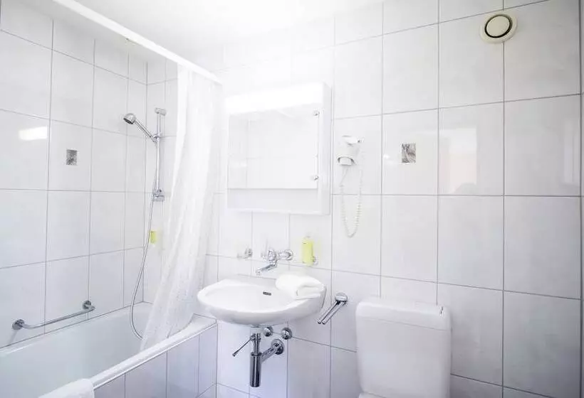 Hotelli Restaurant Zum Sternen