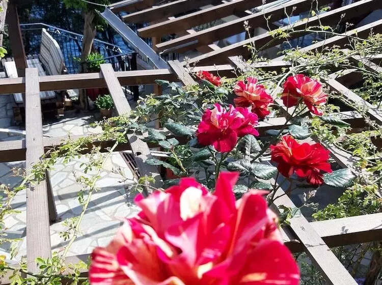 Katerina Fotopoulos Homes & Apartments