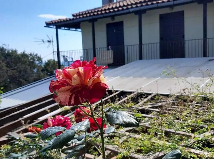 Katerina Fotopoulos Homes & Apartments