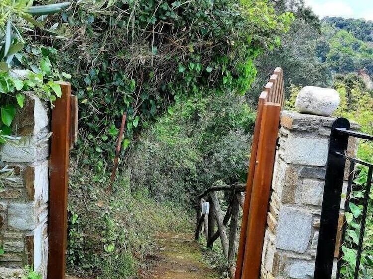 Katerina Fotopoulos Homes & Apartments