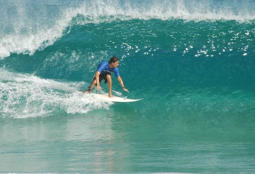 Native Surfhouse   Hostel