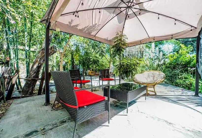 Nido De Colibrí Hotel Relax