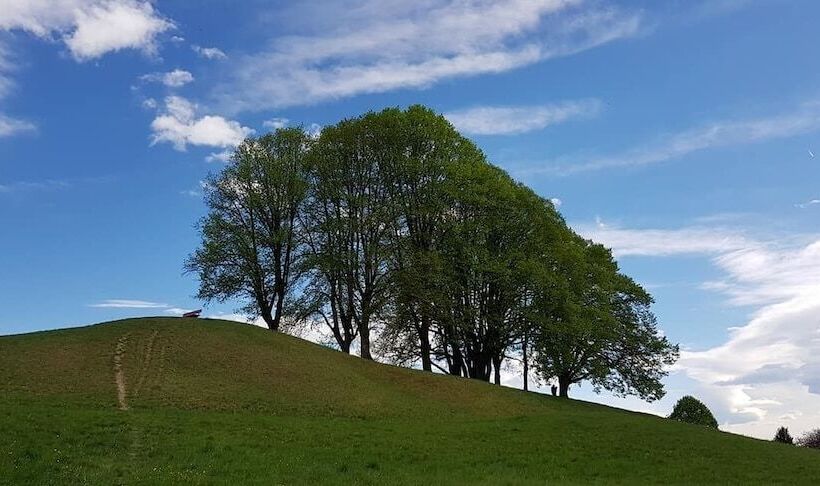 Pansiyon Blue Shield House