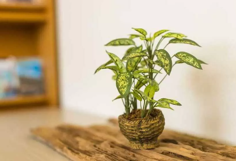 پانسیون Jialai Homestay