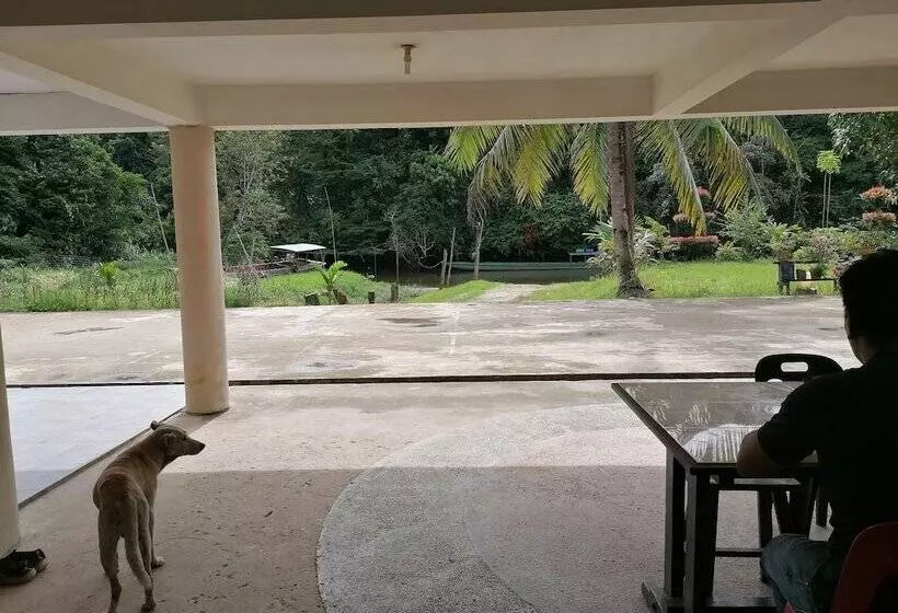 Majatalo Mulu Diana Homestay