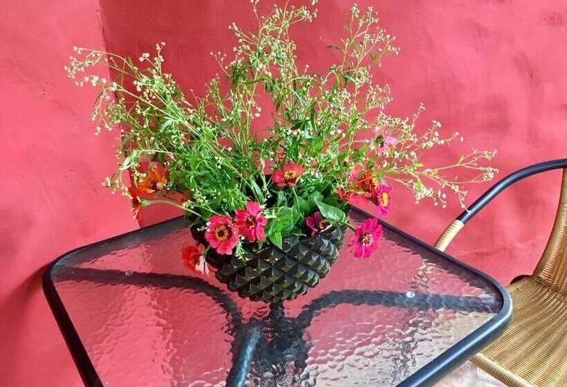 Pension Salamandra Guest House