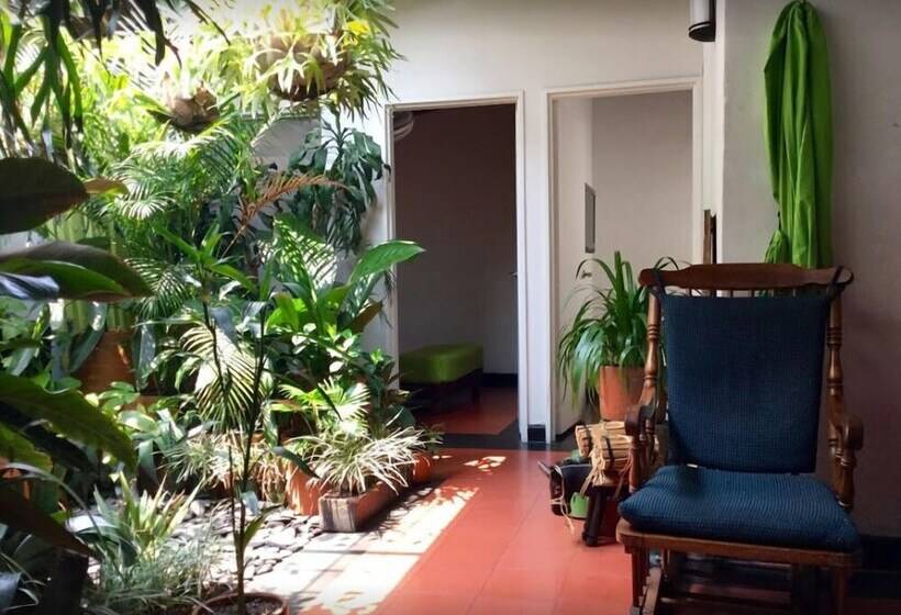 Samán Hostel Medellin