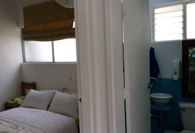 Samán Hostel Medellin