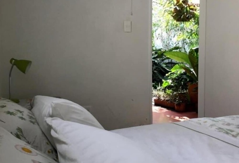 Samán Hostel Medellin