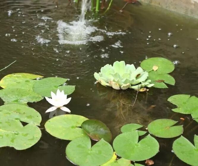 Aamiaismajoitus (B&B) Le Moulinage