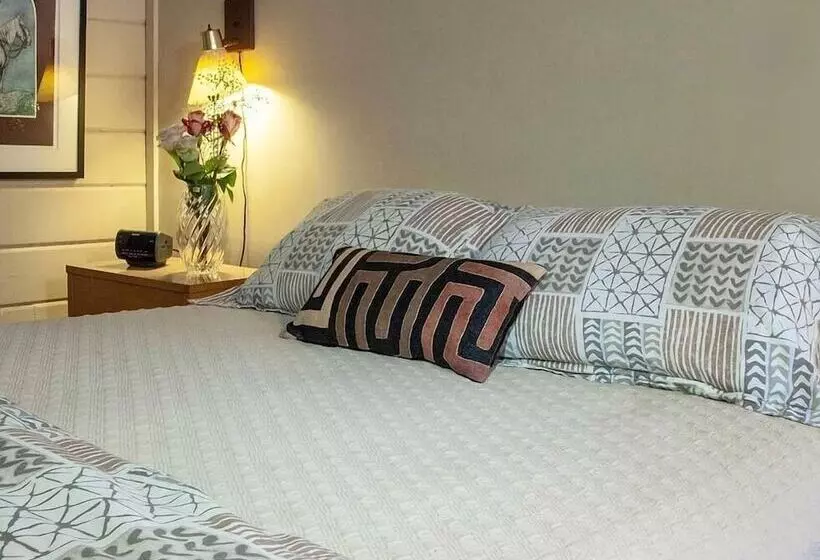 Aamiaismajoitus (B&B) Swan Levine House