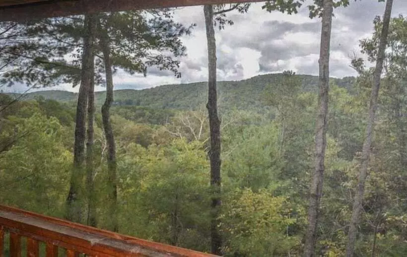 Bucky`s Mountain Vista