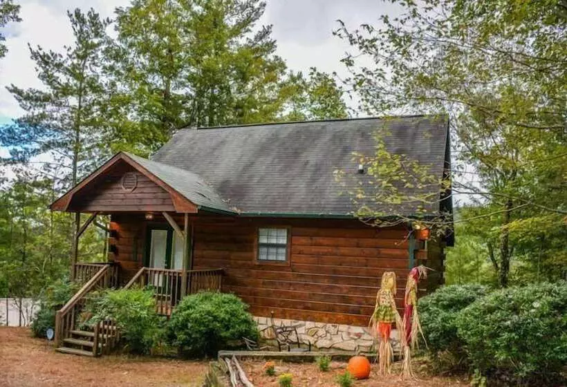 Bucky`s Mountain Vista