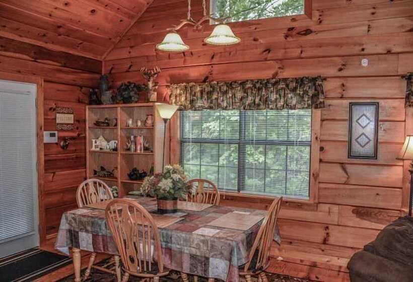 Bucky`s Mountain Vista