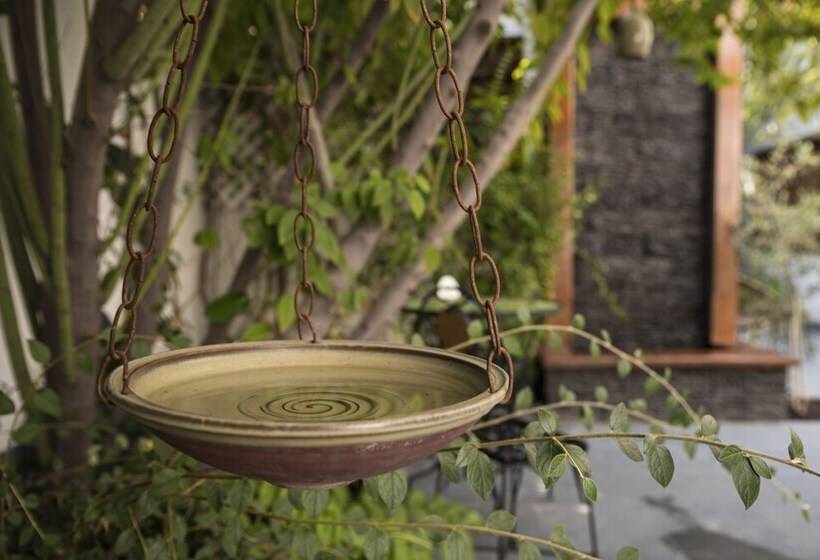 Esencia Hotel Boutique & Gourmet