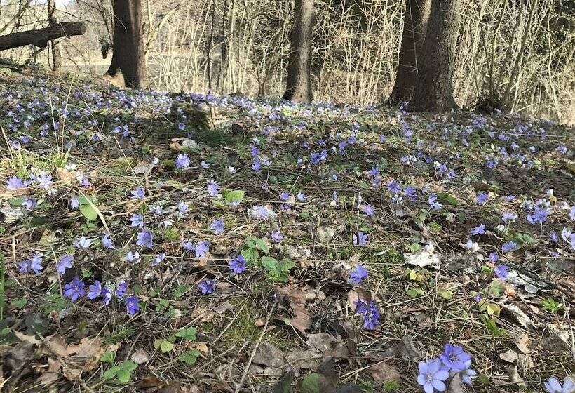 Park Hotel Grishkino