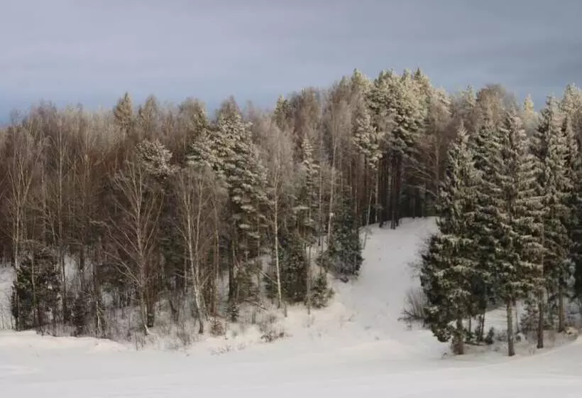 Park Hotel Grishkino