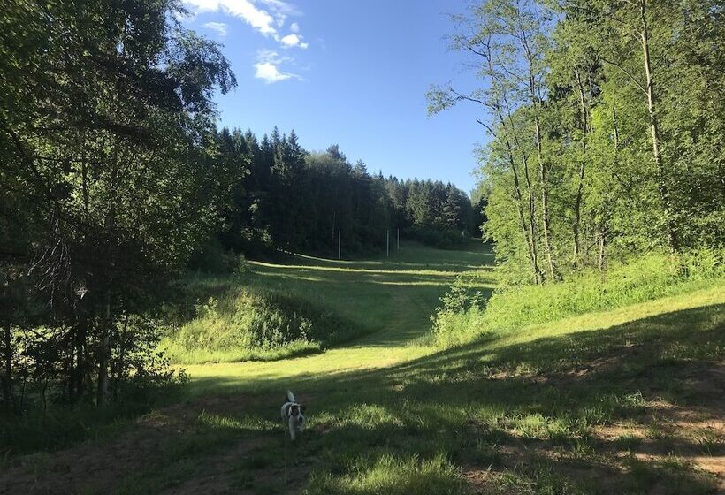 Park Hotel Grishkino