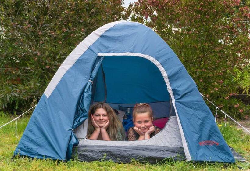 리조트 Leithfield Beach Holiday Park