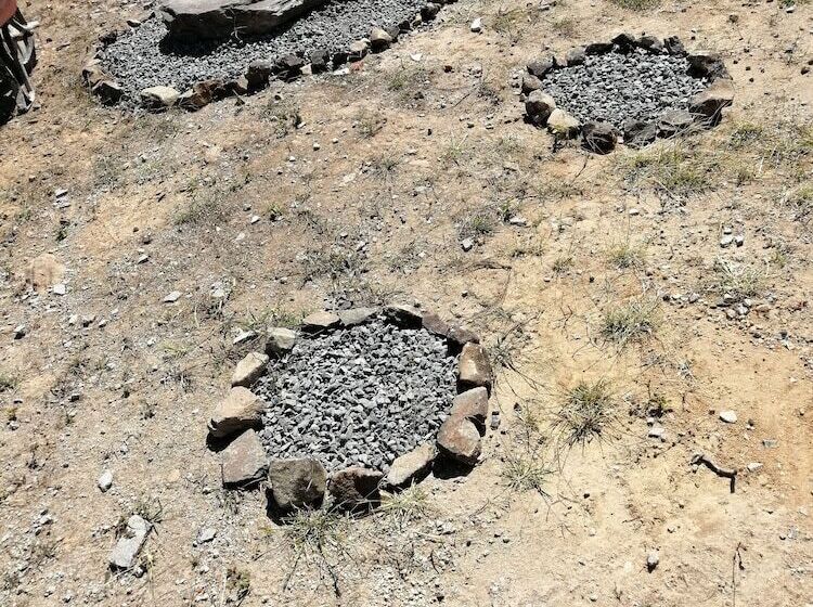 Ailanto Estancia Reserve