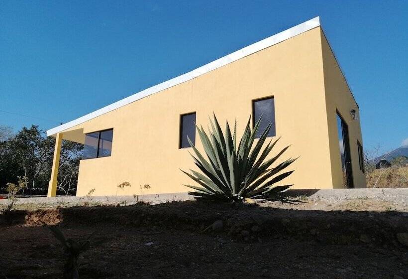 Ailanto Estancia Reserve