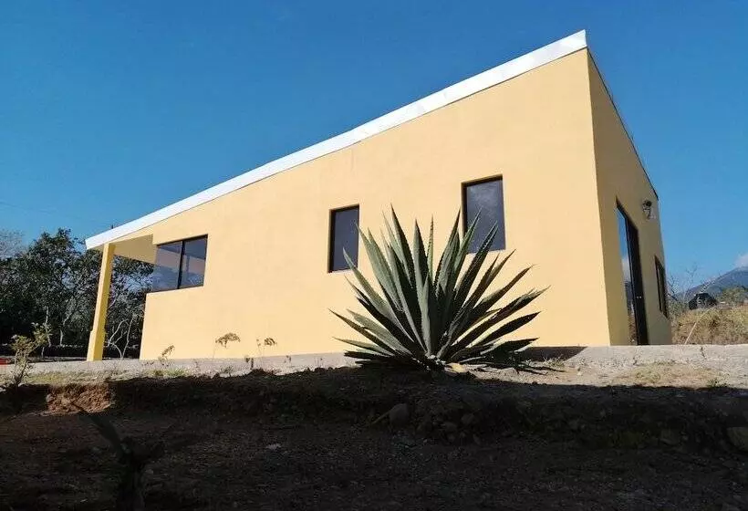 Ailanto Estancia Reserve