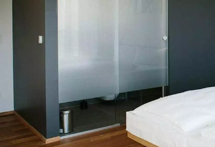 Ox Hotel Altes Spital