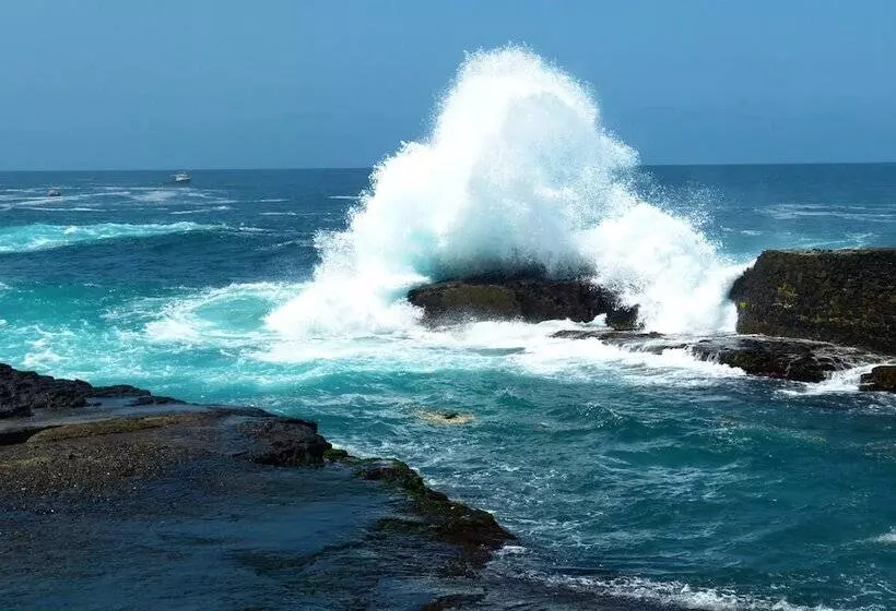 تختخواب و صبحانه Casa D Mar