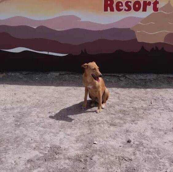 민박 Yuna Village Garden Resort