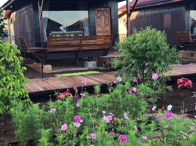 Demoso Lodge   Hostel