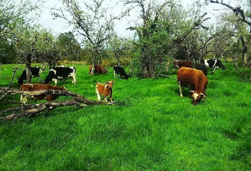Ecoturismo Los Manzanos